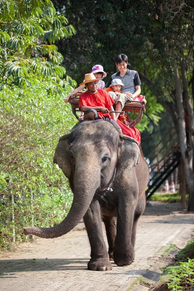 Cavalcare su un elefante — Foto Stock