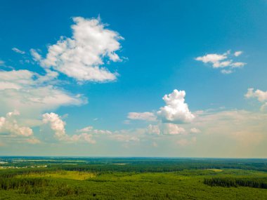 Güneşli yaz gününde, ormanın üzerinde beyaz bulutlar olan mavi gökyüzü.
