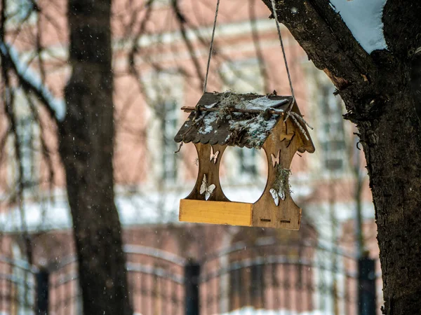 Vogelhaus auf einem Ast in einem städtischen Winterpark. Außenfoto — Stockfoto