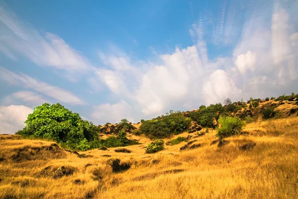 Colina en Goa — Foto de Stock