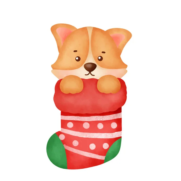 Aquarell Niedlicher Cartoon Corgi Hund Mit Socke Für Weihnachtskarte — Stockvektor