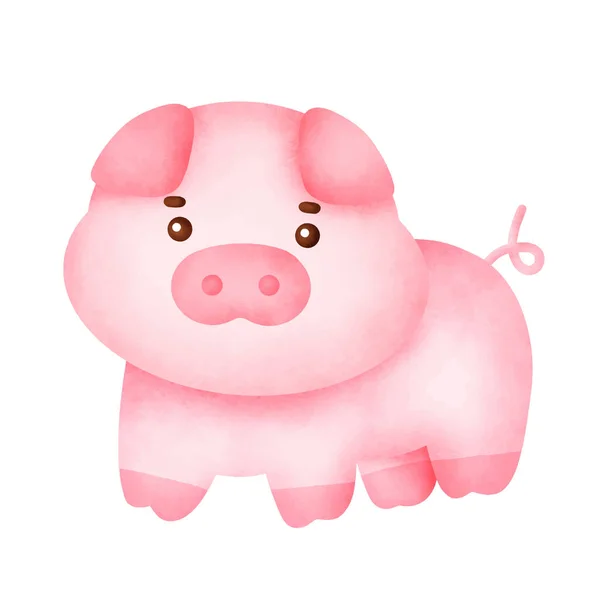 Ręcznie Rysowane Akwarela Cute Świnia Charakter — Wektor stockowy