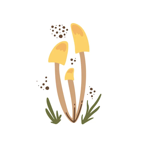 Ilustración vectorial dibujada a mano de hongos, hojas y elementos naturales — Vector de stock