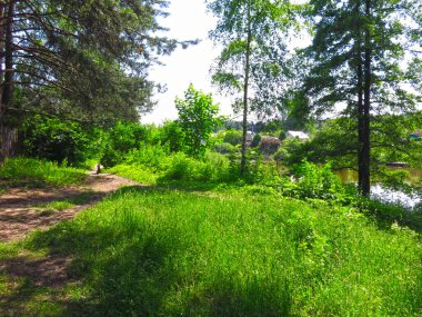 İlkbaharın başlarında ağaçlarla, patikayla ve göletle güzel bir kırsal alan.