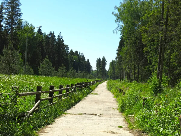 Camino Rural Con Una Valla Hecha Troncos Verano — Foto de Stock