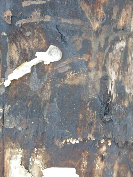 Brutal Texture Surface Dirty Wooden Pole Soaked Fuel Oil Traces — Stock Photo, Image