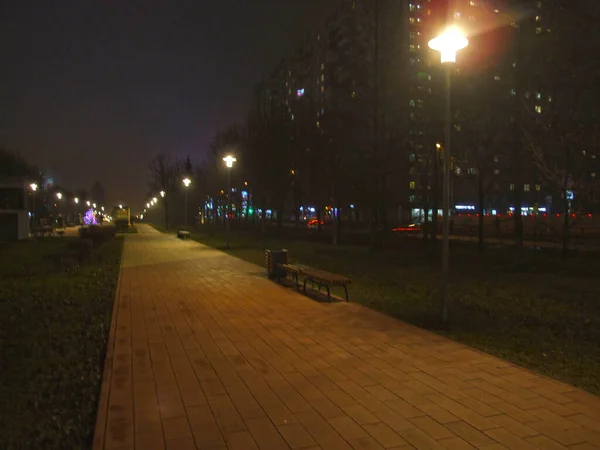 Avenida Noturna Com Lanternas Luzes Natal — Fotografia de Stock