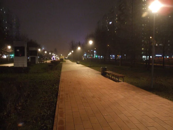 Fenerlerle Noel Işıklarıyla Dolu Bir Gece Caddesi — Stok fotoğraf