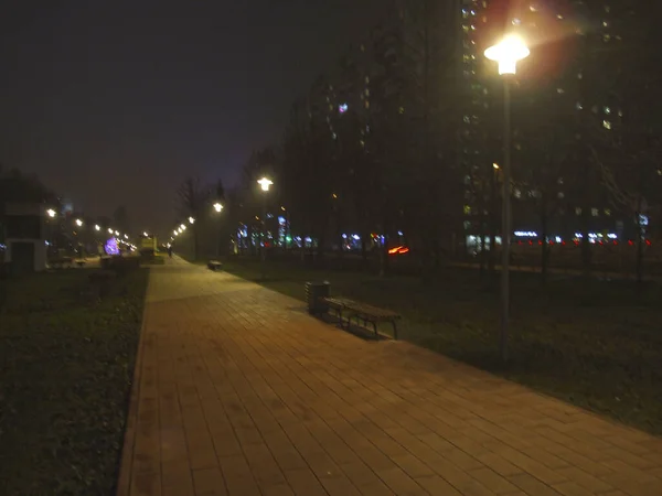 Avenida Nocturna Con Linternas Luces Navidad —  Fotos de Stock