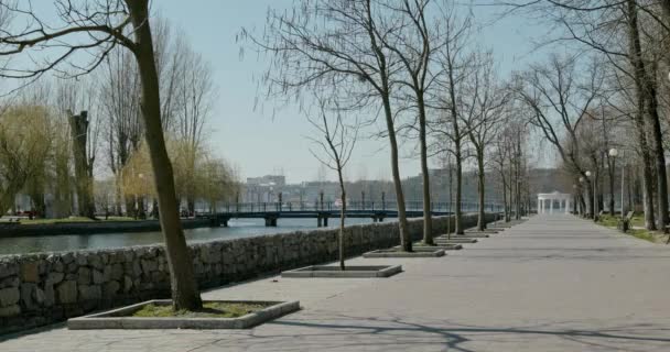 Covid 19检疫期间 城市桥边平静的河岸上空旷的无叶树木和柏油路 — 图库视频影像