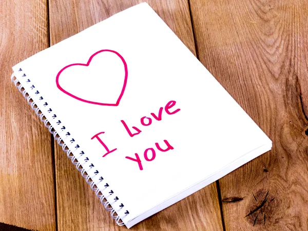 dizüstü bilgisayar