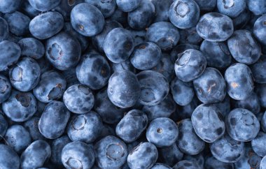 Image of blueberries from above, close up.