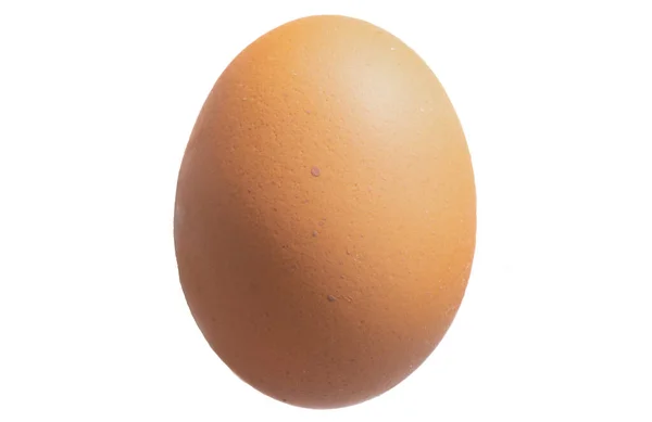 Image Egg Isolated — Stock fotografie