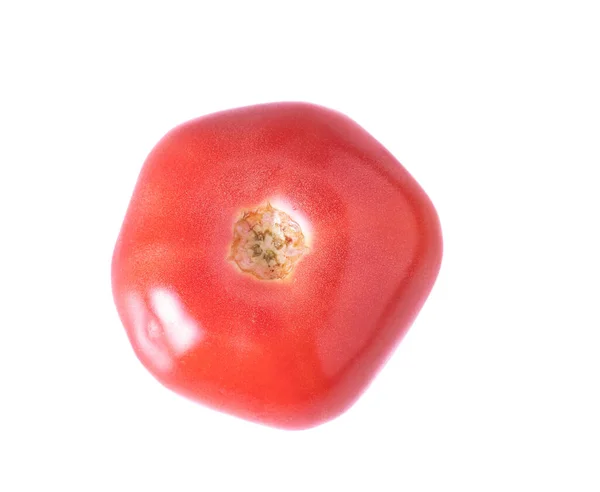 Image Single Isolated Tomato Stockfoto