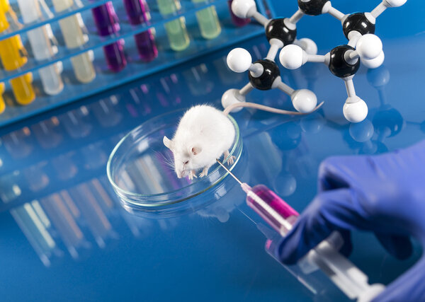 Workplace modern laboratory for molecular biology test on blue background