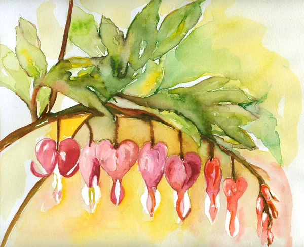 Kanayan kalpler fowers