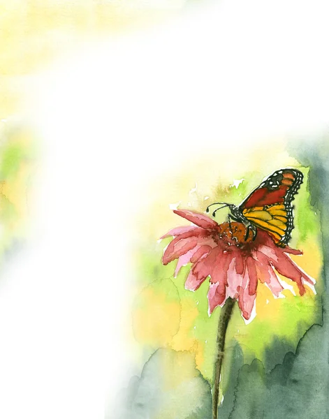 Flor con mariposa —  Fotos de Stock