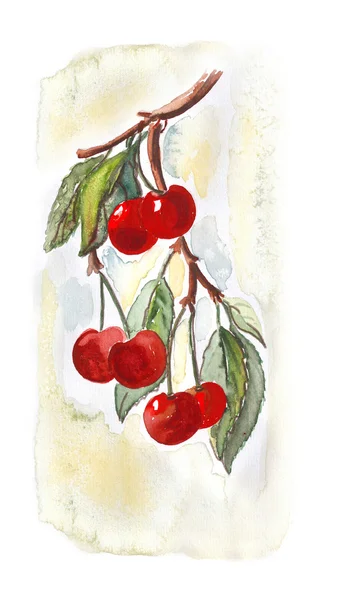 Cherry — Stock Photo, Image