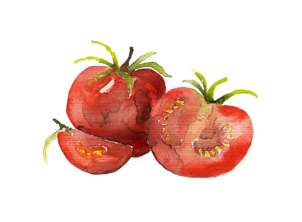 Pomodori — Foto Stock