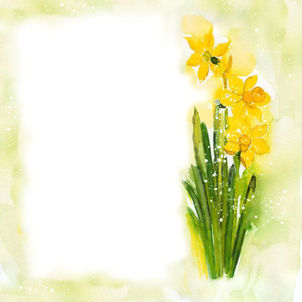 Narcissus frame — Stockfoto