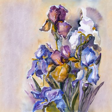 Iris çiçekler