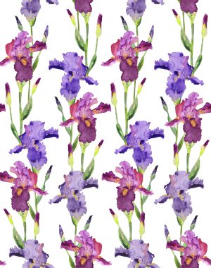 süsen seamless modeli