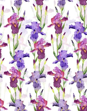 süsen seamless modeli