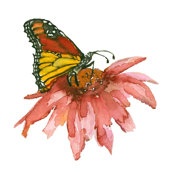 Kelebek çiçek — Stok fotoğraf