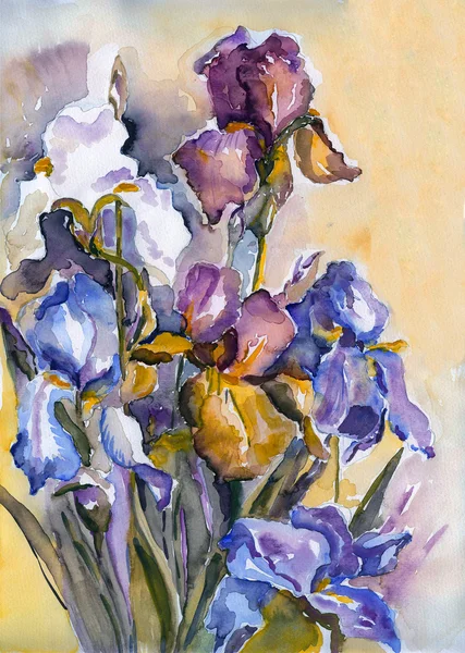 Iris bloemen — Stockfoto