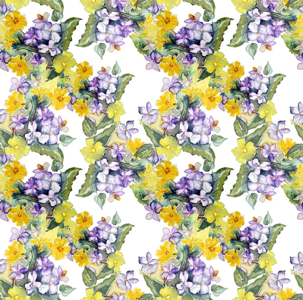 Primula άνθη μοτίβο — Φωτογραφία Αρχείου