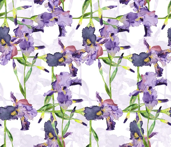 Iris Flowers Pattern — Stock Photo, Image