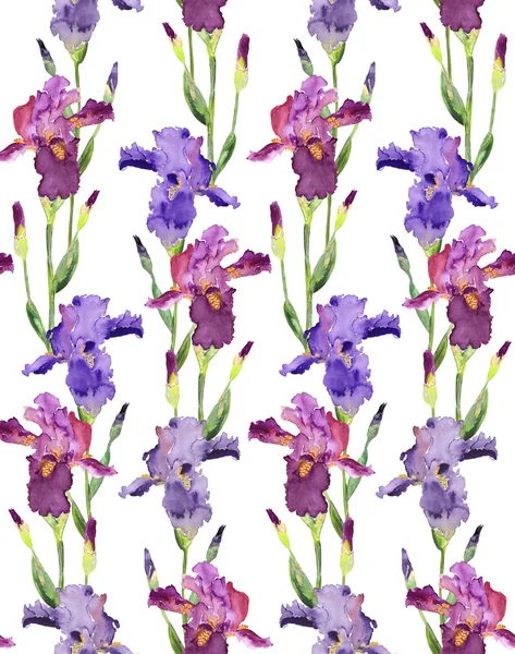 Iris nahtloses Muster — Stockfoto