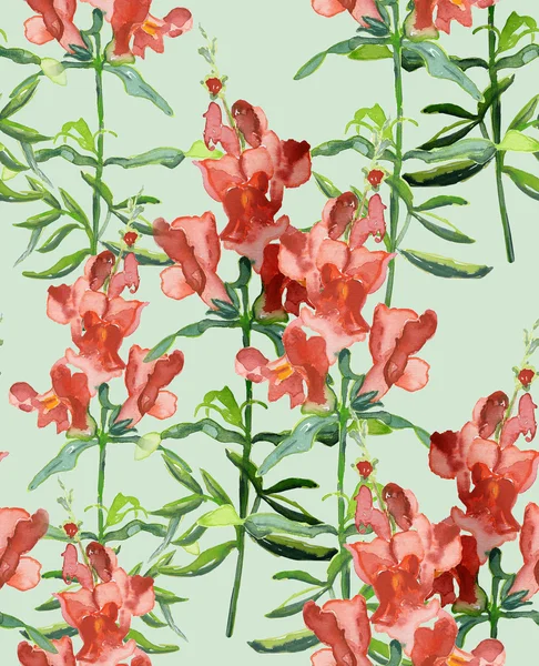 Snapdragons padrão sem costura — Fotografia de Stock