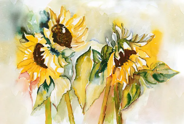 Sunflowers — Stock Photo, Image