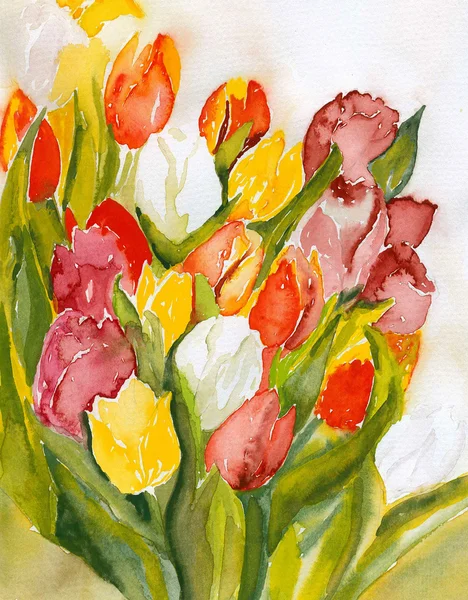 Tulips Bouquet — Stock Photo, Image