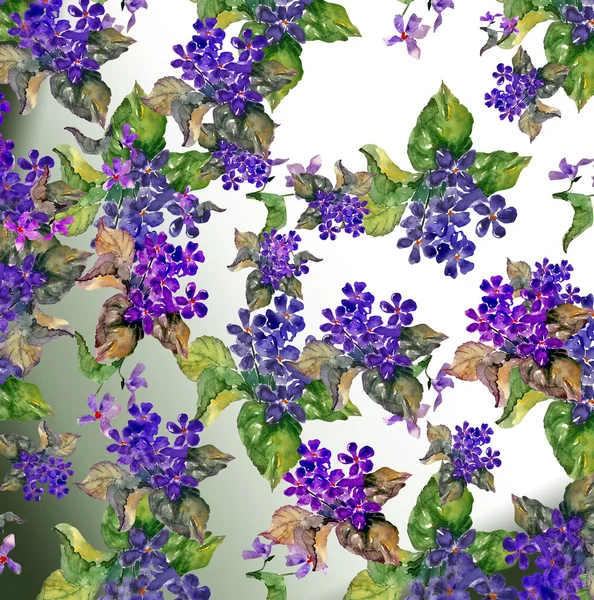 Viola Pattern — Stock Photo, Image