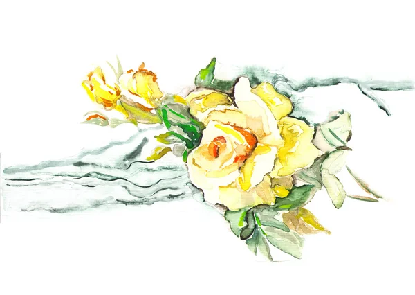 Gelbe Rose — Stockfoto