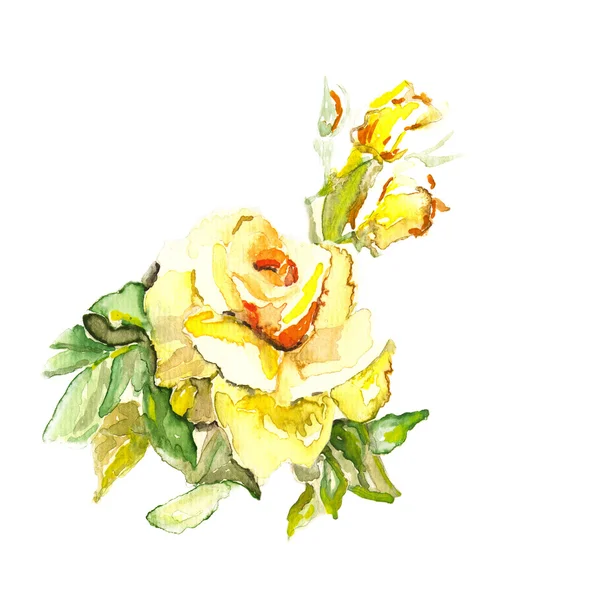 Yellow Rose — Stock Photo, Image