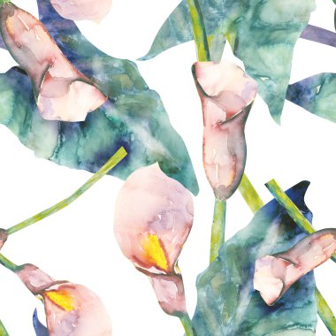 Callas seamless modeli