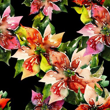 poinsettias çerçeve