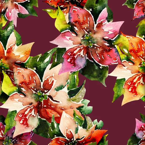 Poinsettias Seamless Pattern — Stock Photo, Image