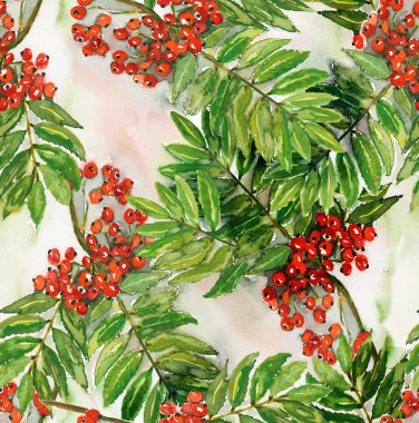 Rowan berry seamless modeli