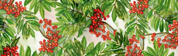 Rowan berrys naadloze patroon — Stockfoto