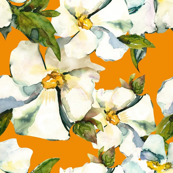 Bílé květy bezešvé vzor — Stock fotografie