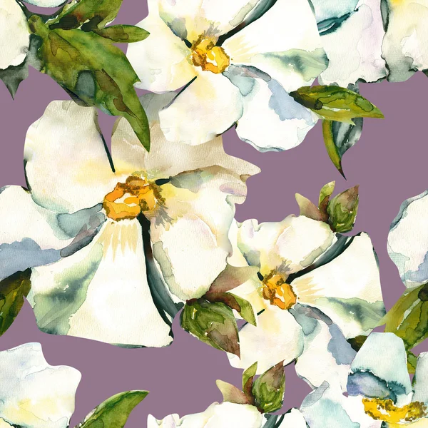 Białe kwiaty bezszwowy wzór — Zdjęcie stockowe