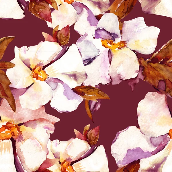 Flores blancas patrón sin costura —  Fotos de Stock