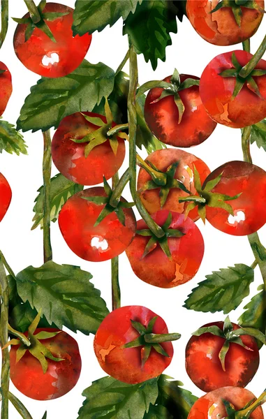Tomatoes seamless pattern — Stock Photo, Image