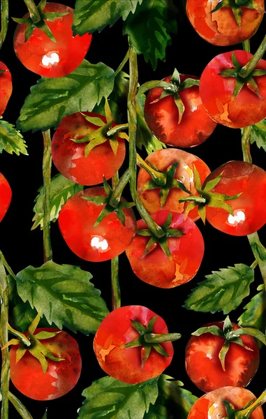 Wzór pomidory — Zdjęcie stockowe