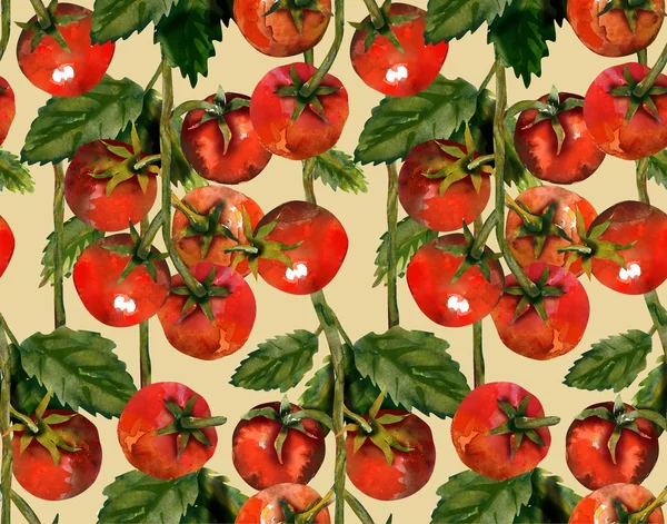 Modèle sans couture tomates — Photo