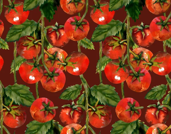 Tomatoes seamless pattern — Stock Photo, Image